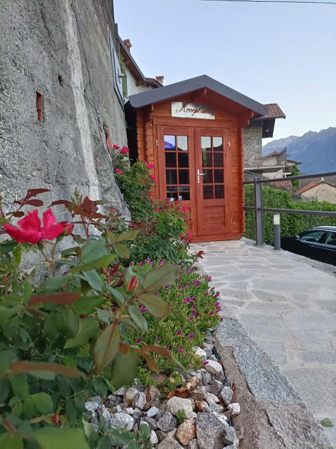 Residence Casa Rosa Gera Lario Zewnętrze zdjęcie